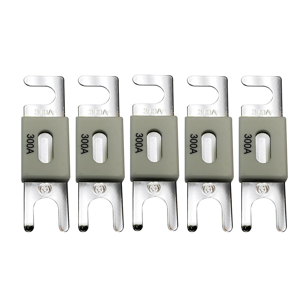Victron ANL-Fuse 300A/80V f/48V Products (Package of 5) (CIP143300020)