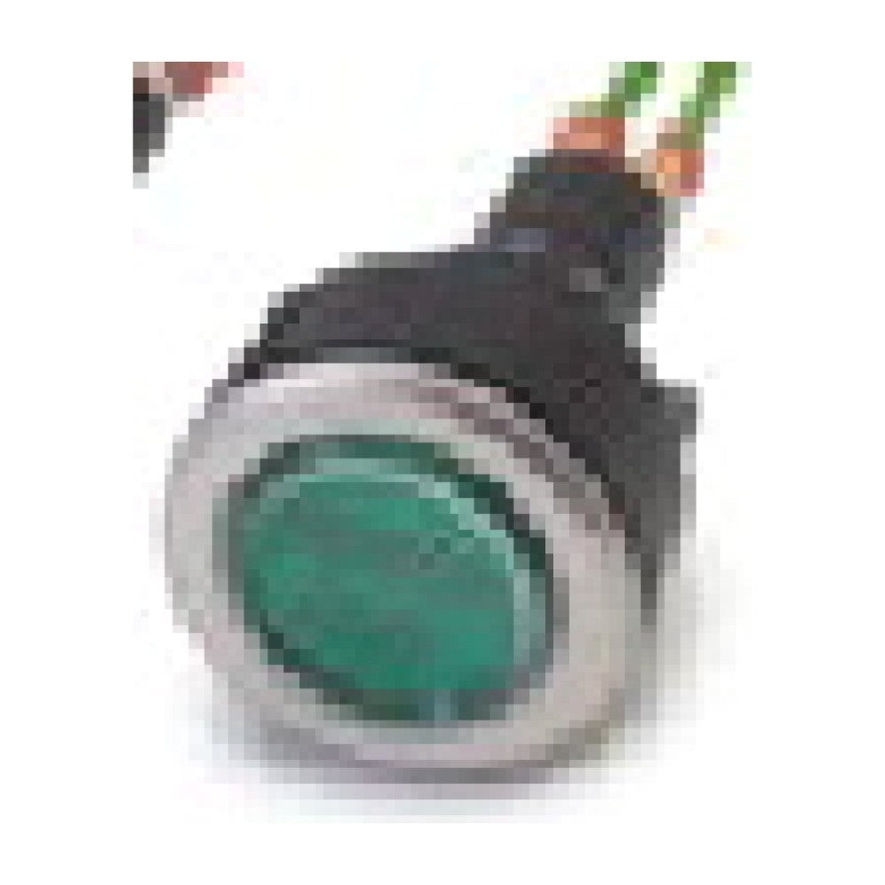 Selden PUSHBUTTON ASSY "GREEN"