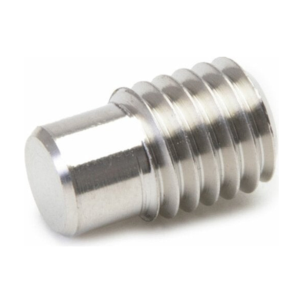 Selden GRUB SCREW SPEC.M8/ø6.5x15 ST