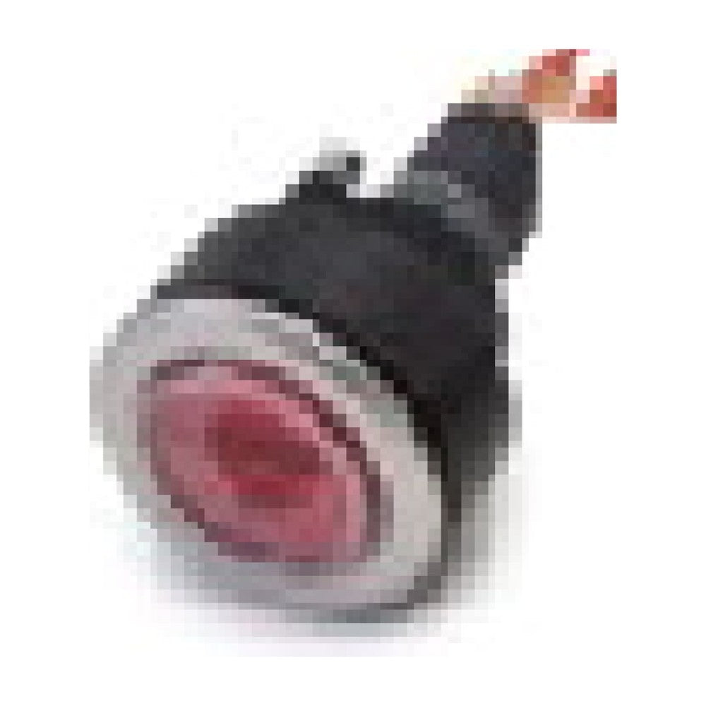 Selden PUSHBUTTON ASSY "RED"