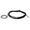 Leashes