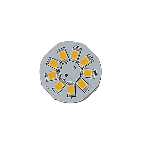 Scandvik 19 in. (482.6 mm) Hatch Lifter 330 lbs. (149.69 kg) - 12V - Stainless Steel (40100)