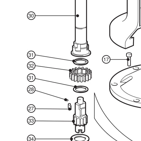 Lewmar 66/3&77St Rat Gear (Dtd) - exploded view drawing from the Lewmar manual